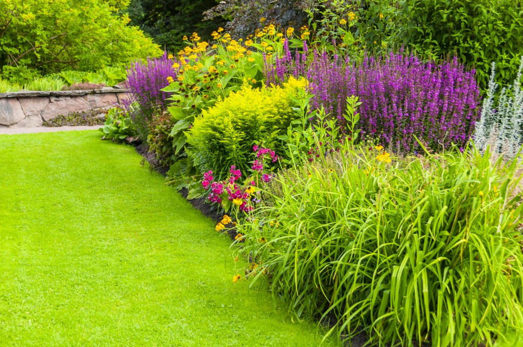 A garden with grass and flowers in the middle of it.