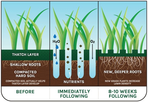 A diagram of how to grow grass in the ground.